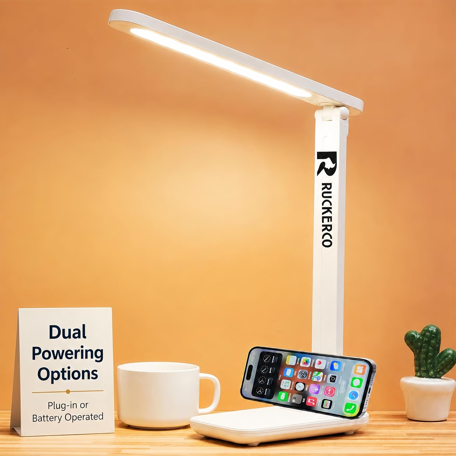 Ruckerco white LED desk lamp